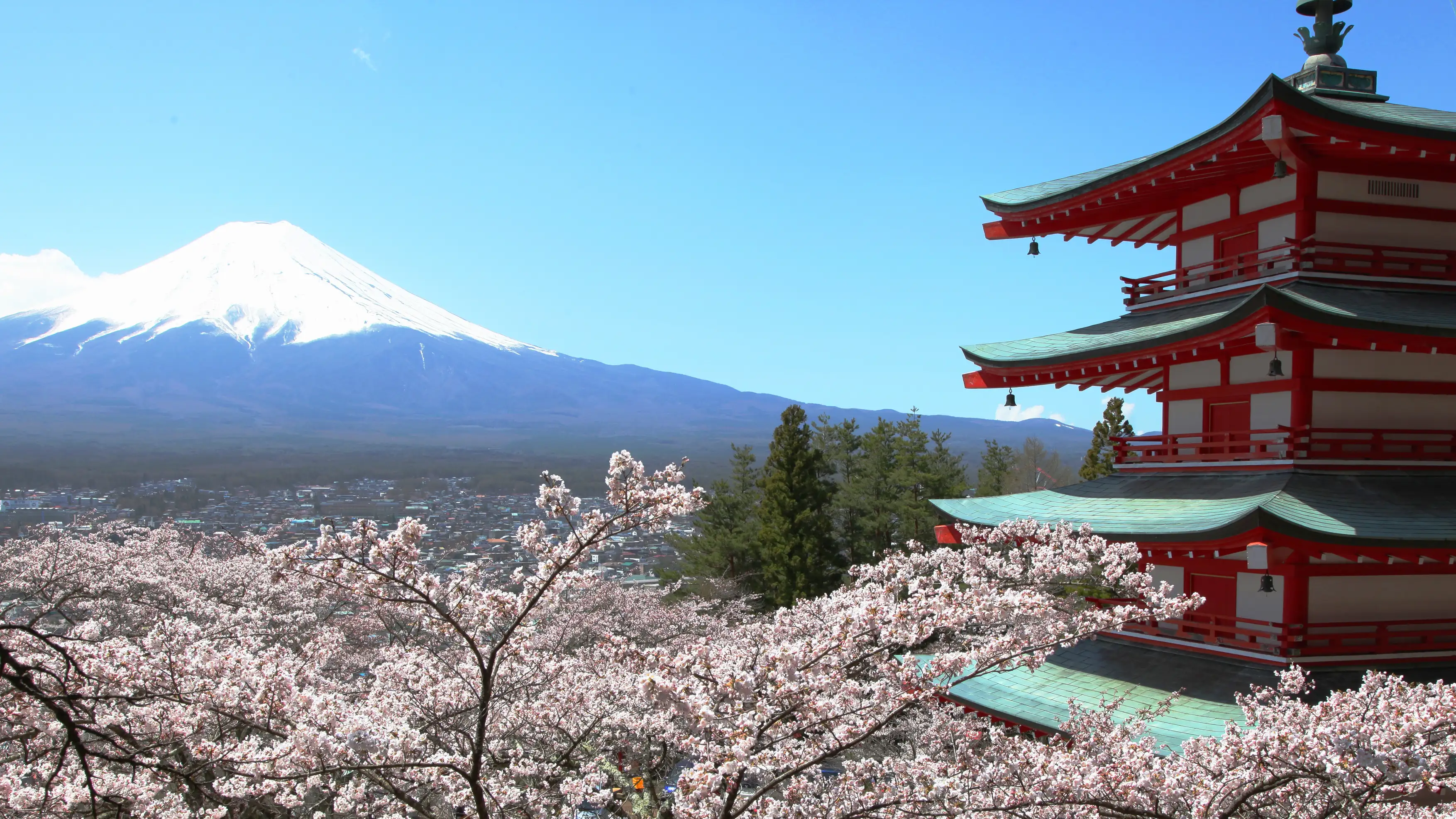 Arakurayama Sengen Park with Mt. Fuji view